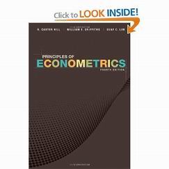 Basic Econometrics Ebook